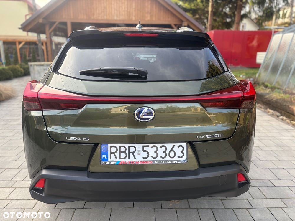 Lexus UX 250h Prestige 2WD - 18