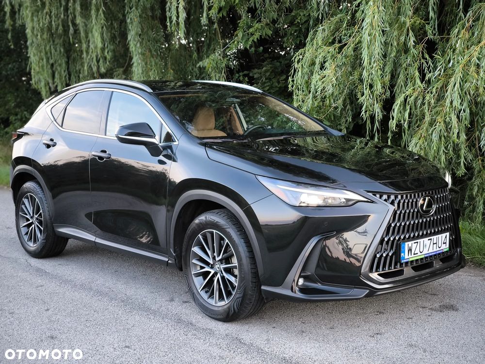 Lexus NX - 3