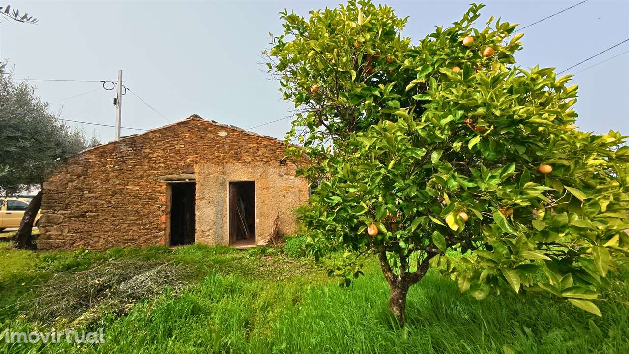 Moradia T2 Venda em Sarzedas,Castelo Branco - Grande imagem: 3/25