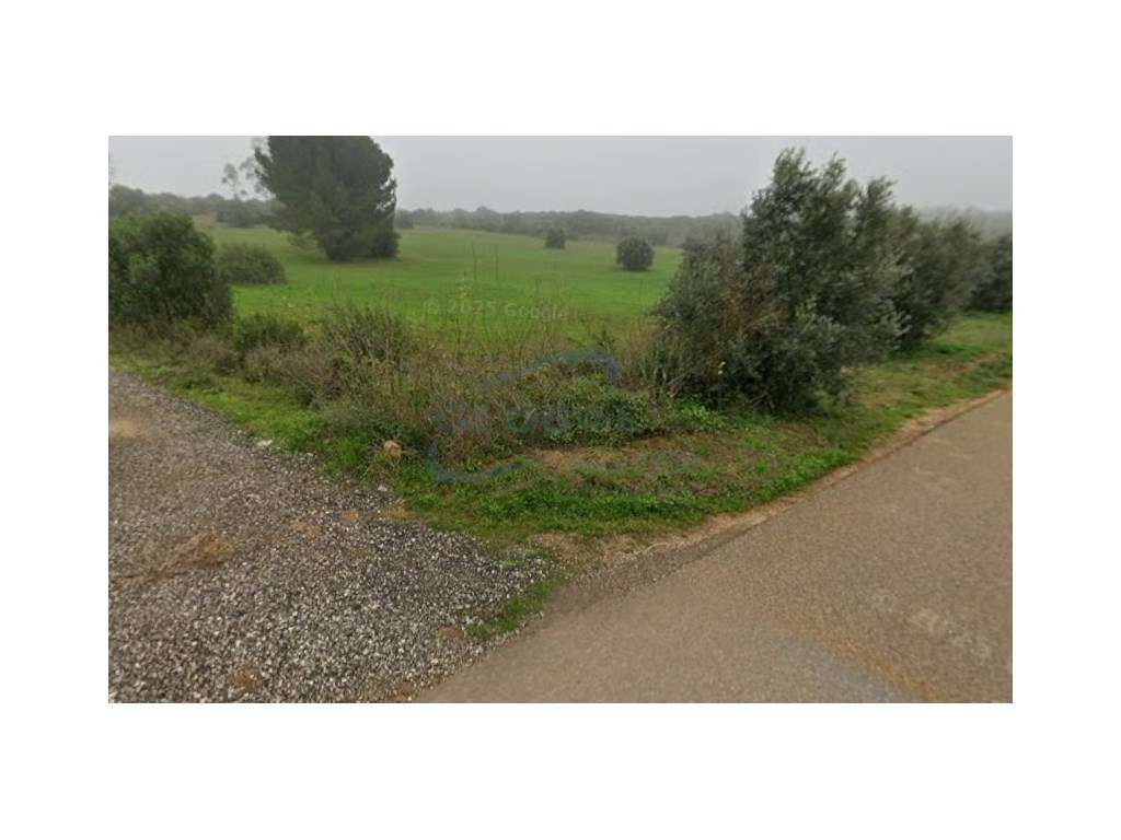 Terreno Rústico com 1,9 ha em Arieiro - Almoster- Santarém - Grande imagem: 3/4