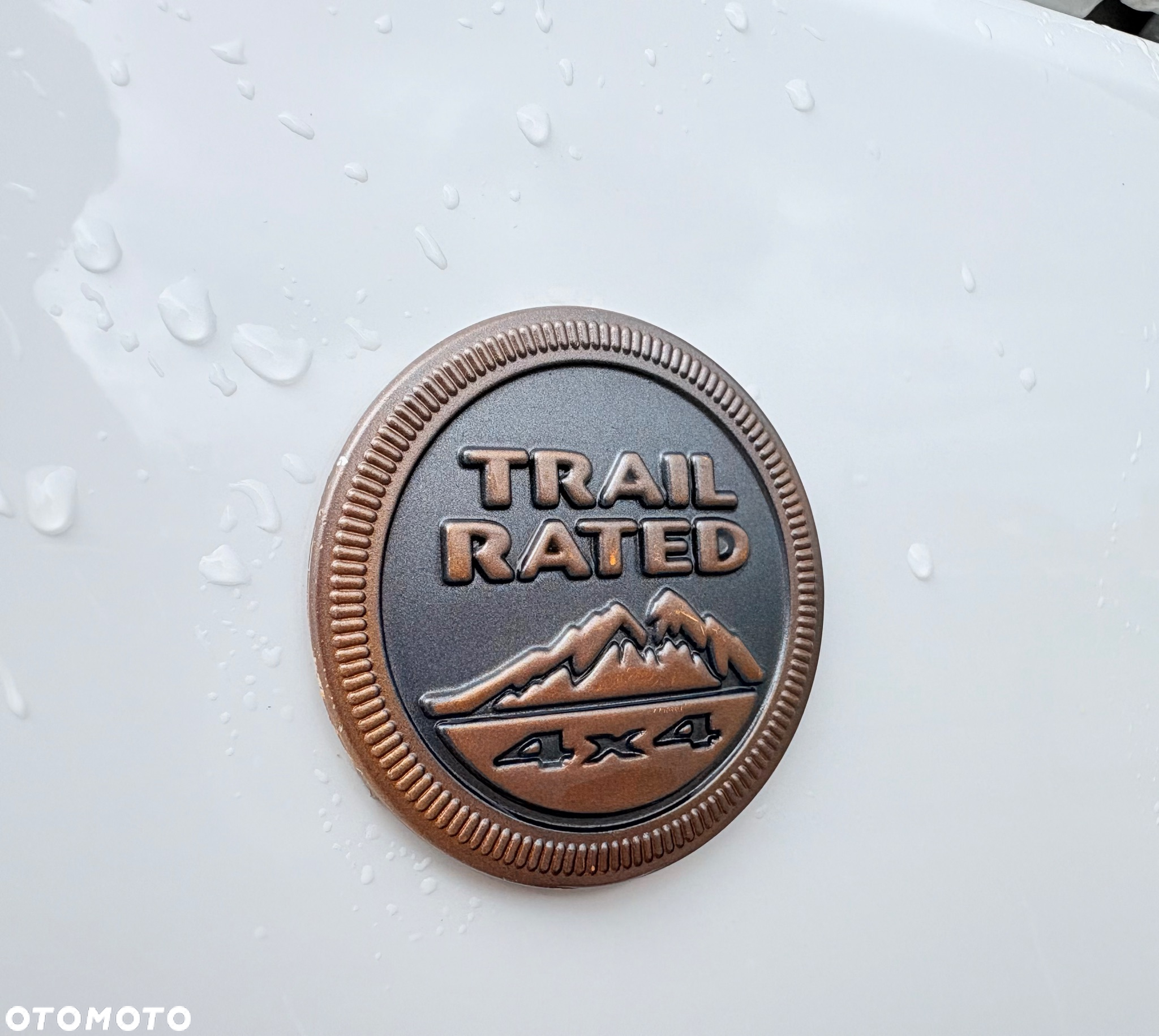Jeep Wrangler Unlimited Hard-Top 3.6 Automatik Sahara - 12
