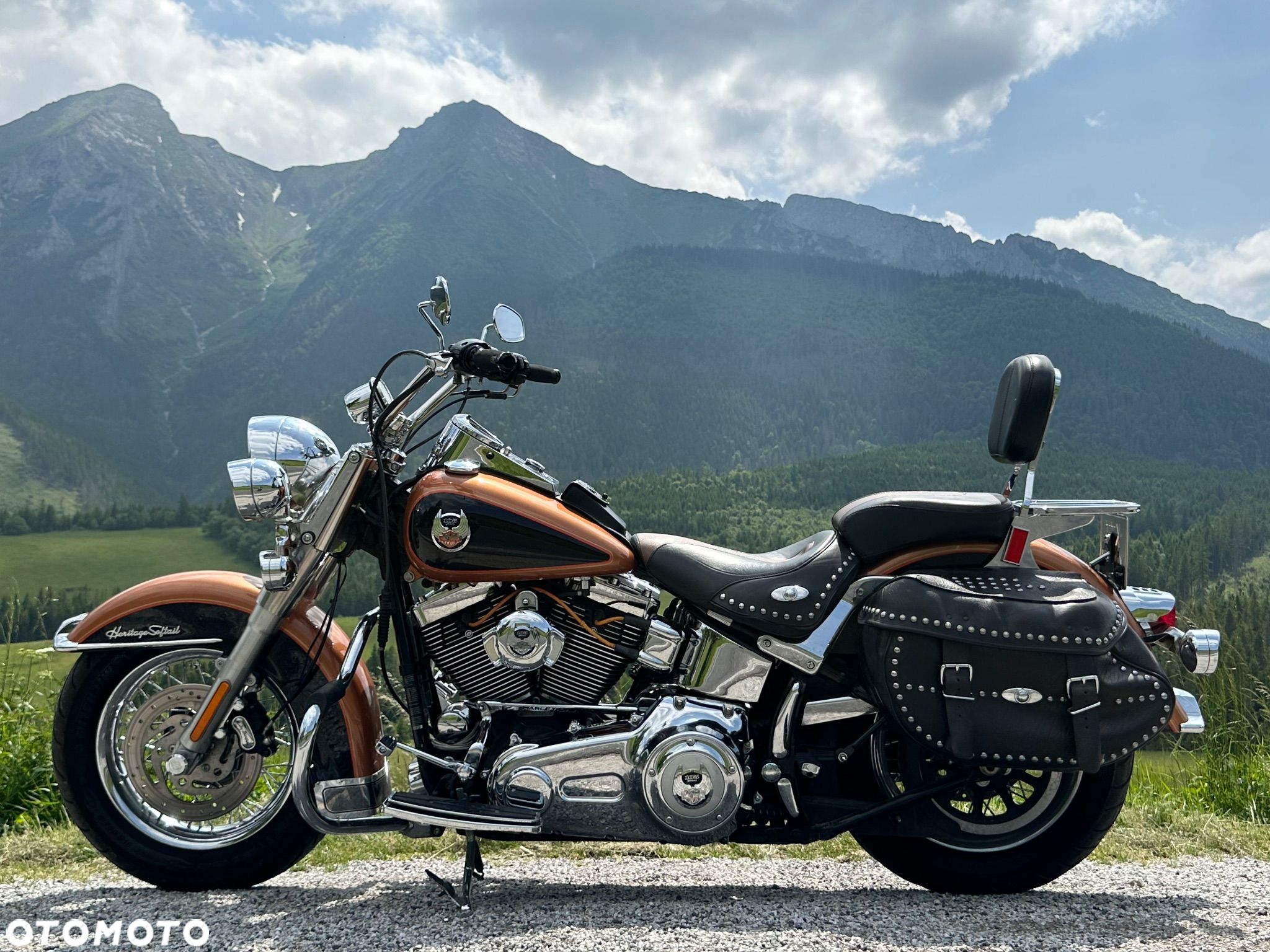Harley-Davidson Softail Heritage Classic - 1