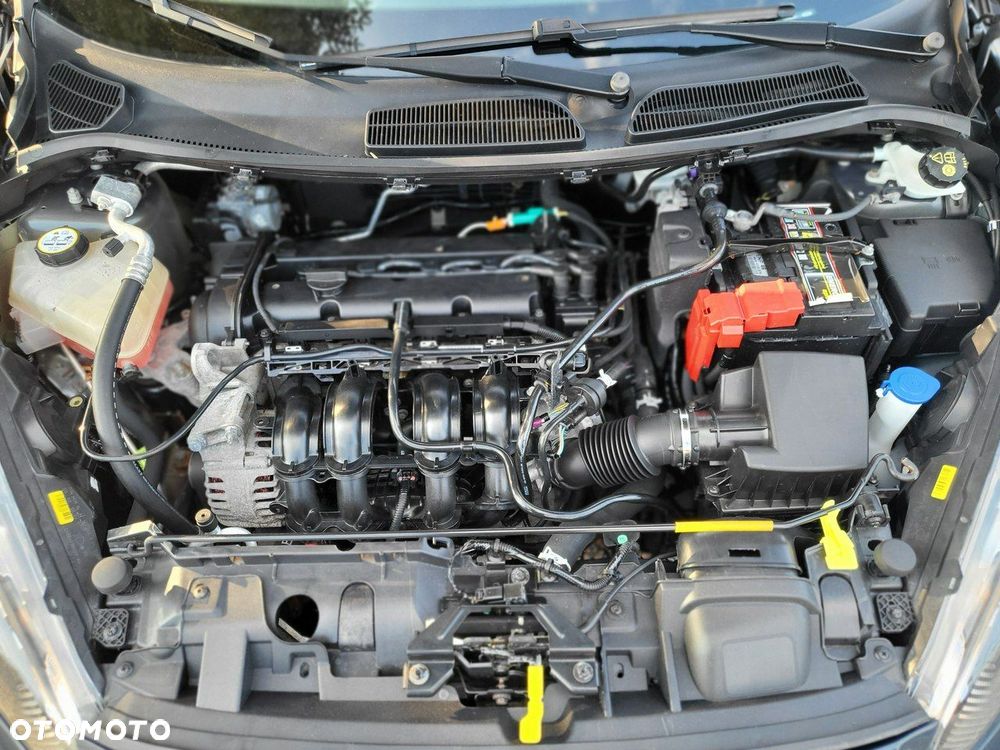 Ford Fiesta - 36