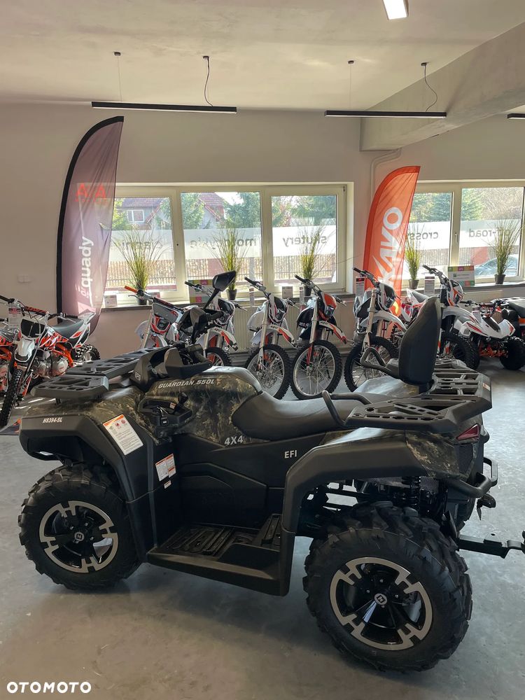 HISUN Guardian 550 - 13