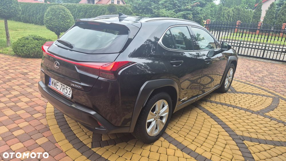 Lexus UX ver-250h-business-edition - 7