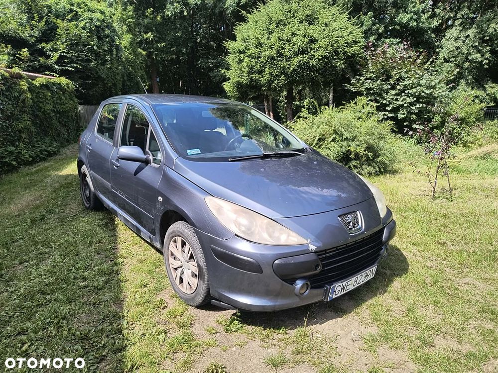 Peugeot 307 1.6 HDi - 3