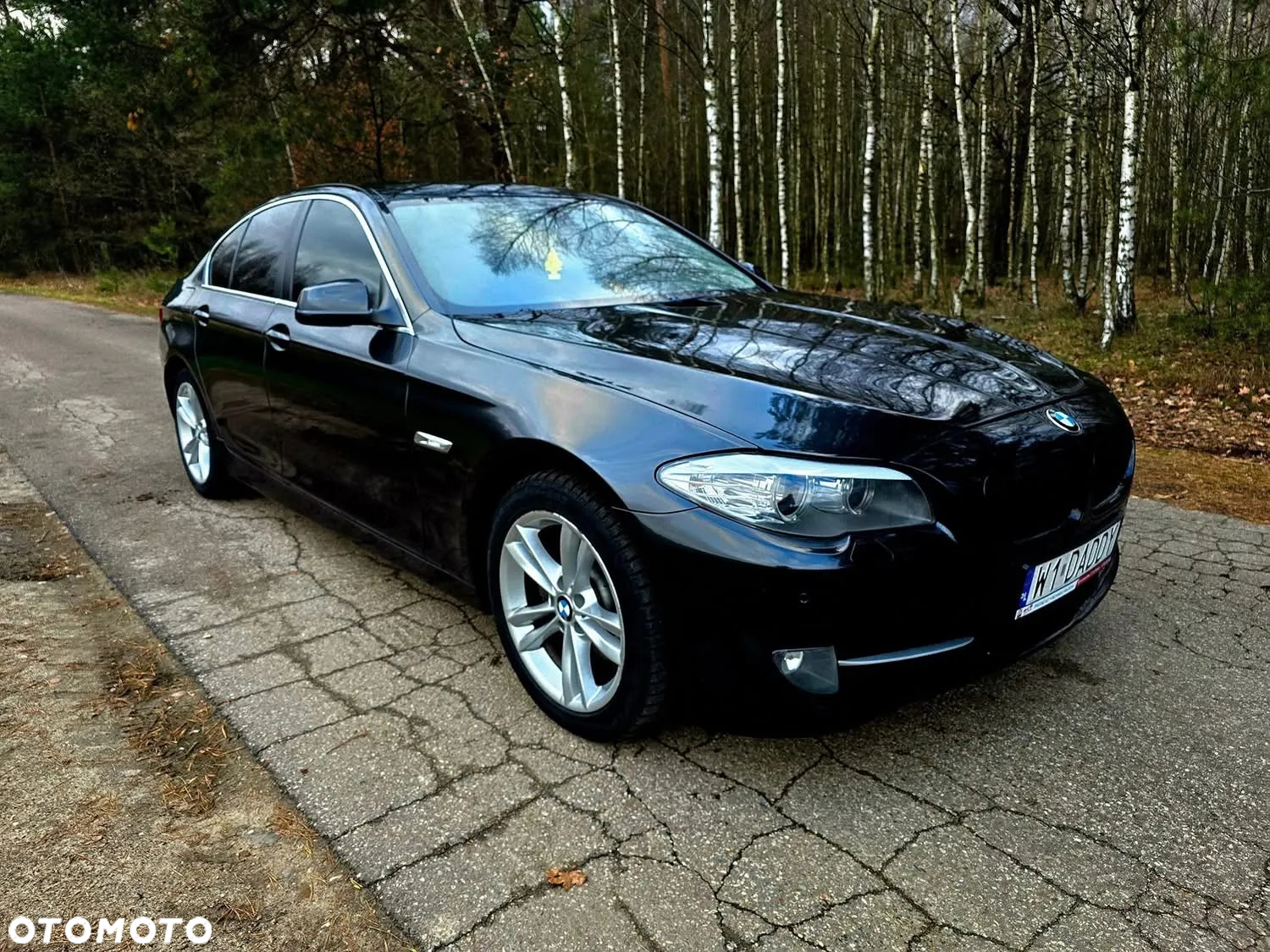 BMW Seria 5 - 13