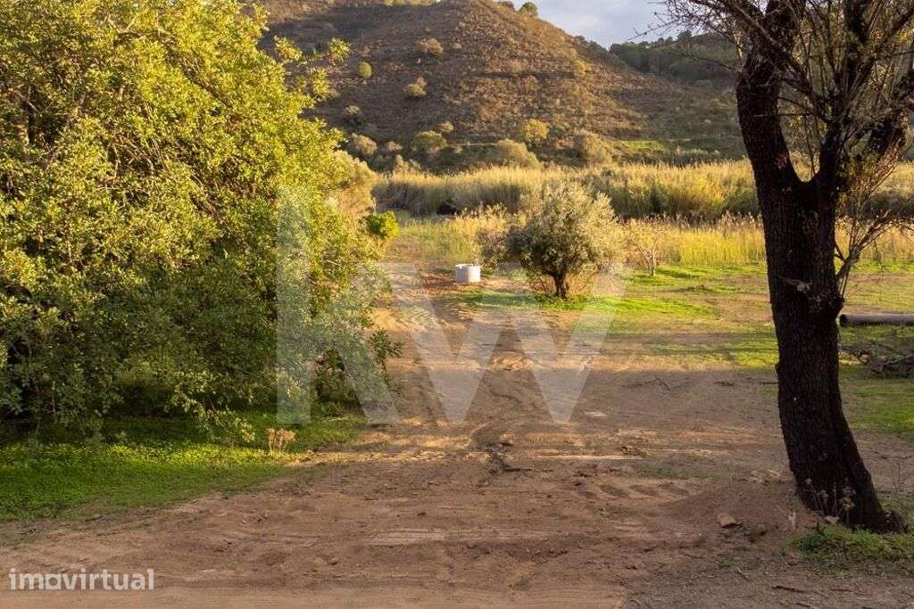 Terreno para agricultura | 920m2 | Margem da Ribeira | Odeleite - Grande imagem: 2/23