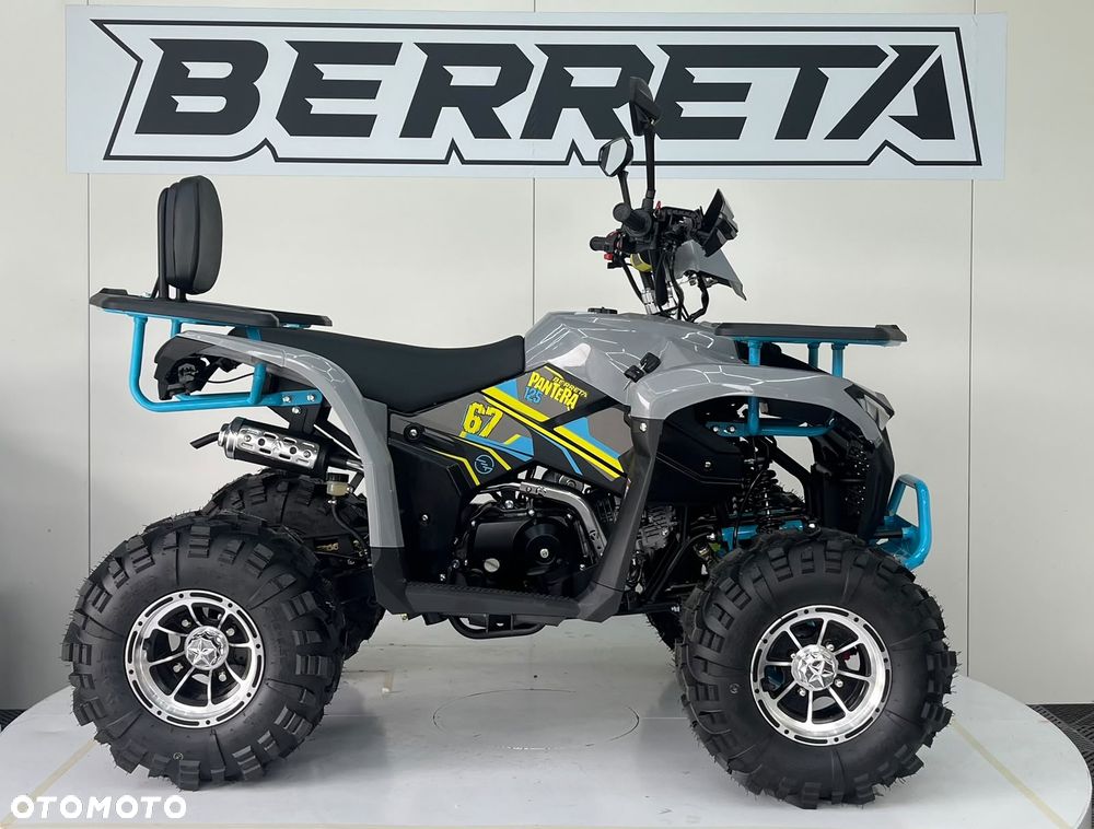Berreta Inny - 4