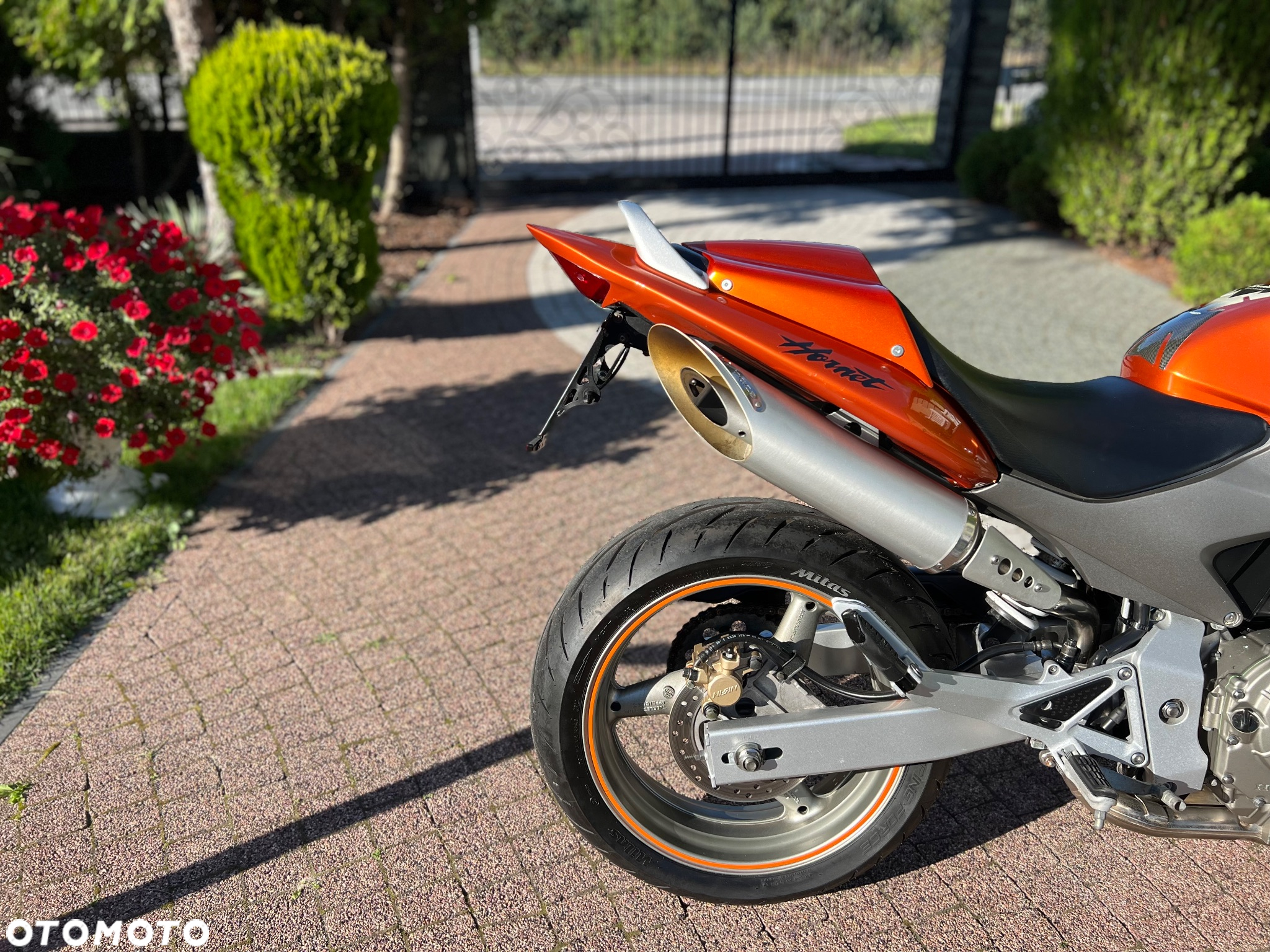 Honda Hornet - 9