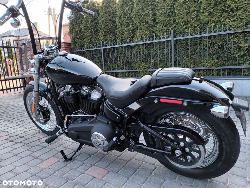 Harley-Davidson Softail Standard - 8