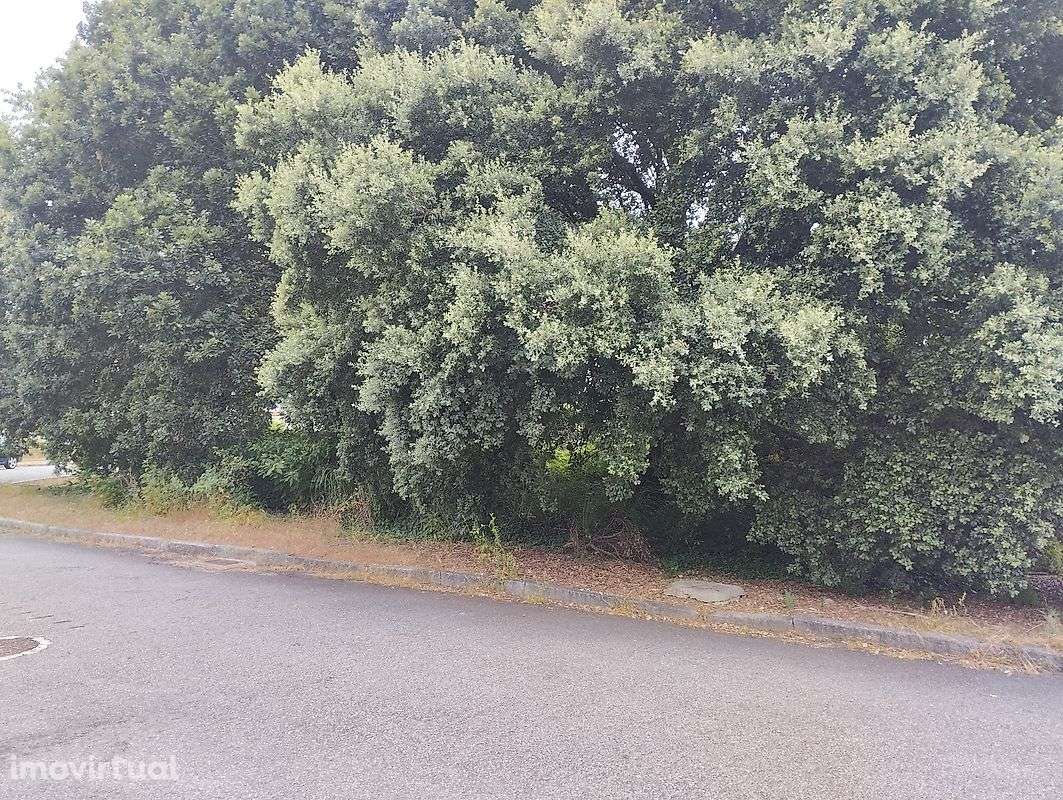 Terreno  para venda - Grande imagem: 4/4