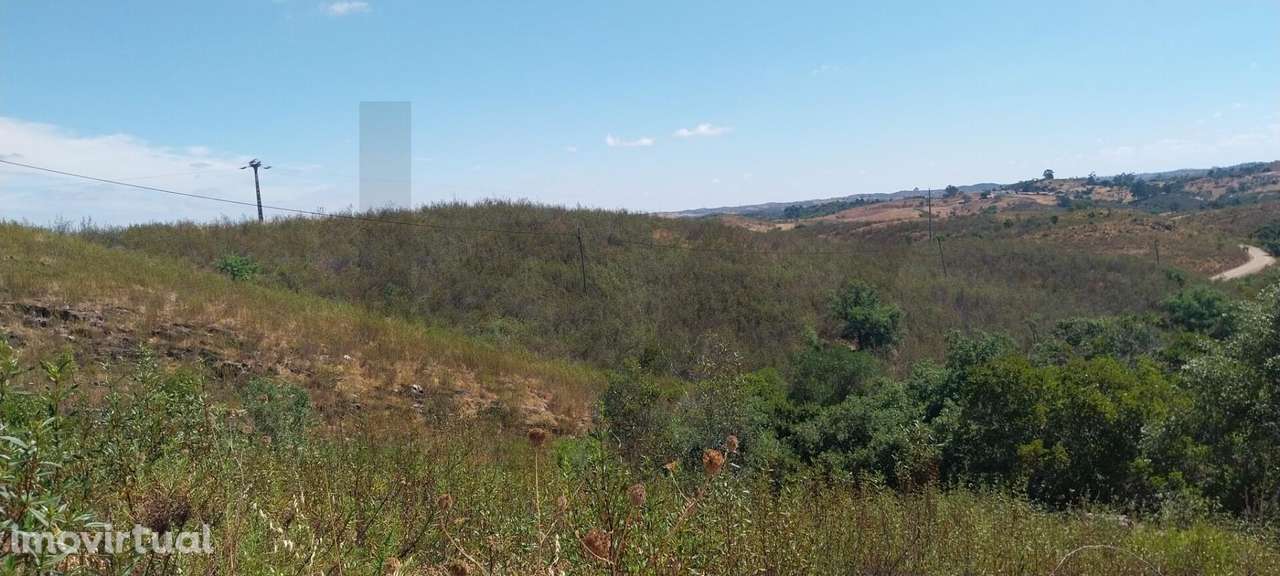 Quinta com ruina - Grande imagem: 2/8