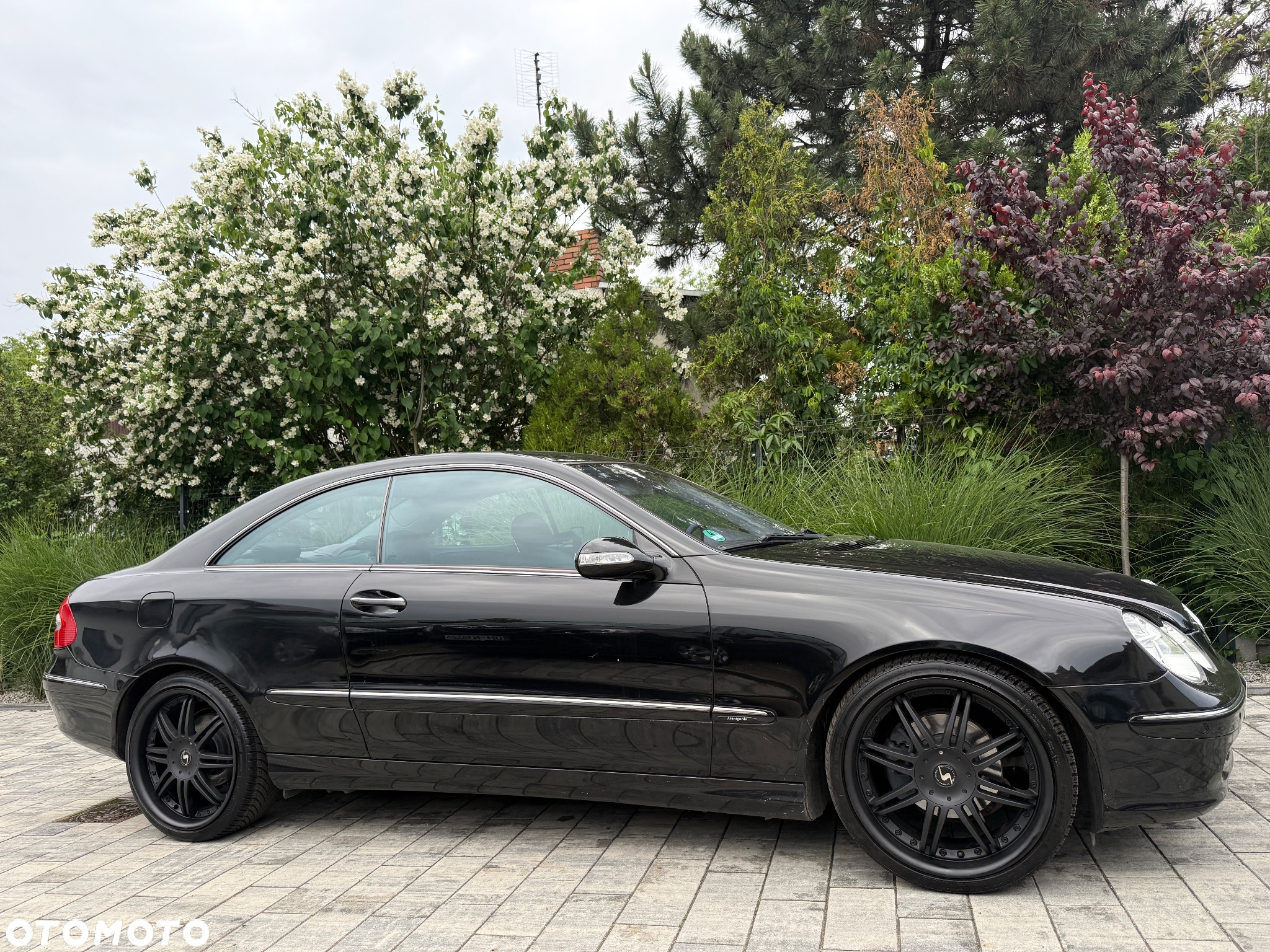 Mercedes-Benz CLK - 27