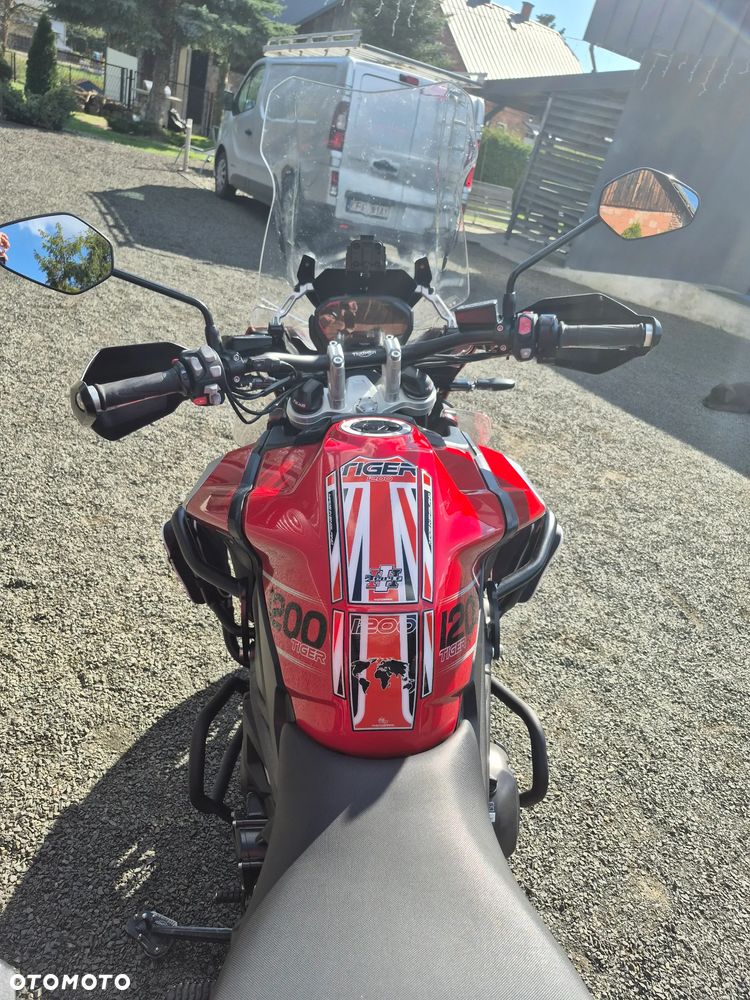 Triumph Tiger - 4