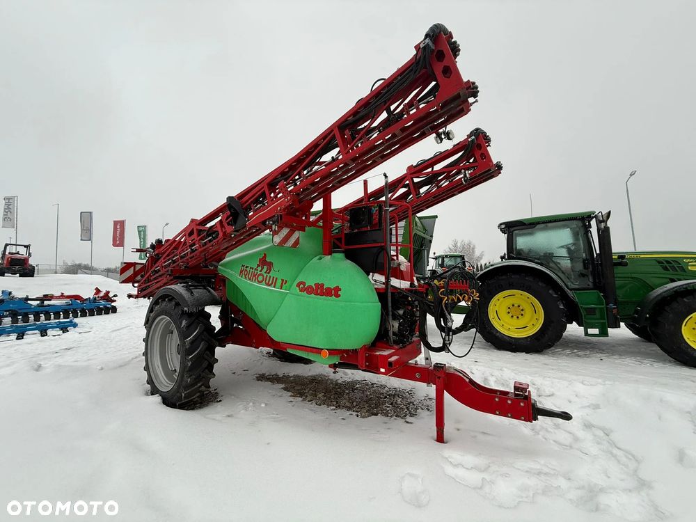 Krukowiak Goliat - 5