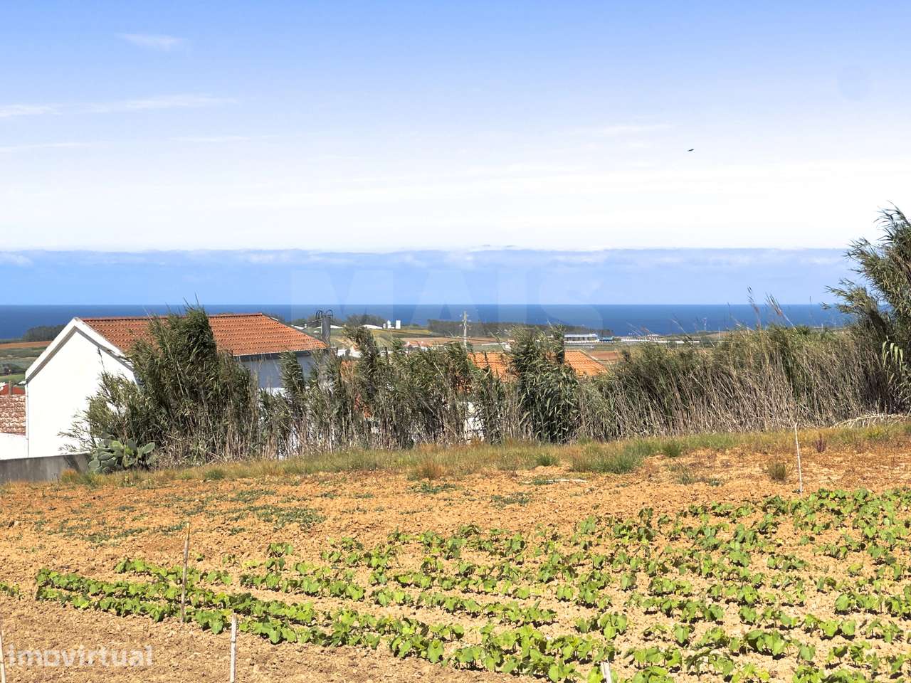 Moradia T2+3 com Terreno de quase 3000m2 Urbano - Grande imagem: 5/22