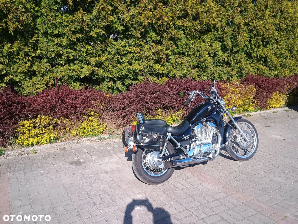 Suzuki Intruder - 3