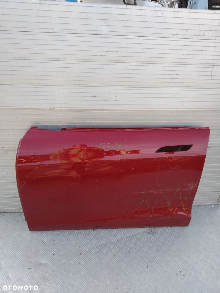 G307/G308/G315/G317/G318/G320/G565 DRZWI TESLA S  lewe przód - 15