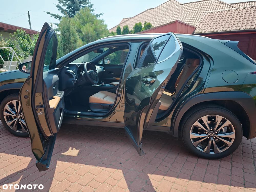 Lexus UX - 13
