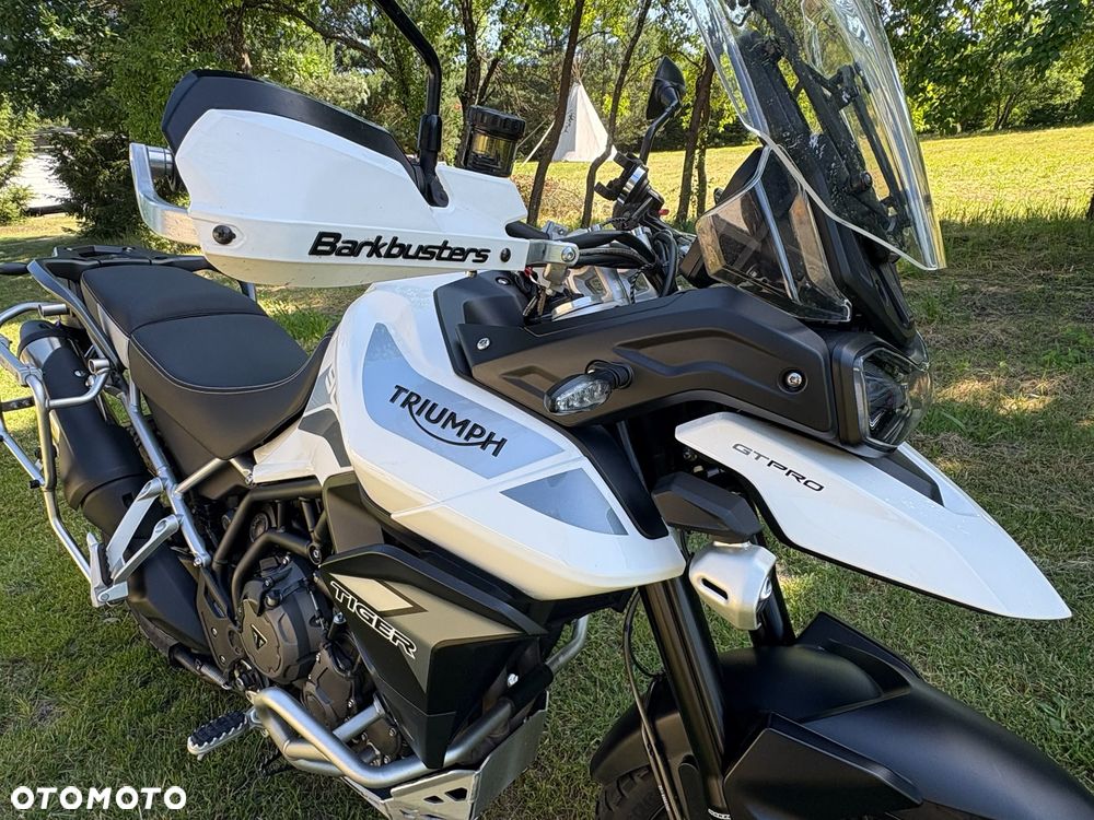 Triumph Tiger - 9