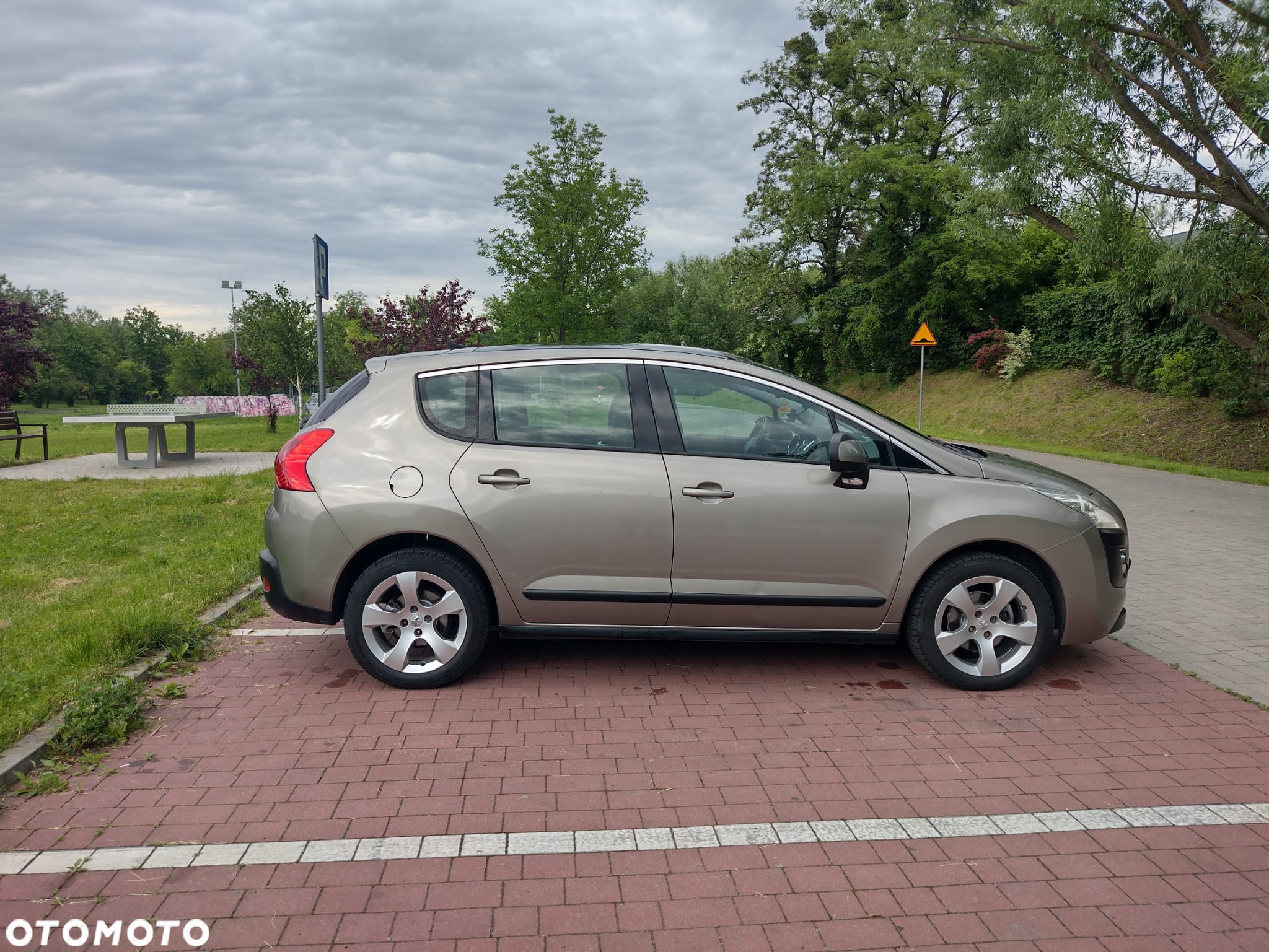 Peugeot 3008 1.6 Premium - 24