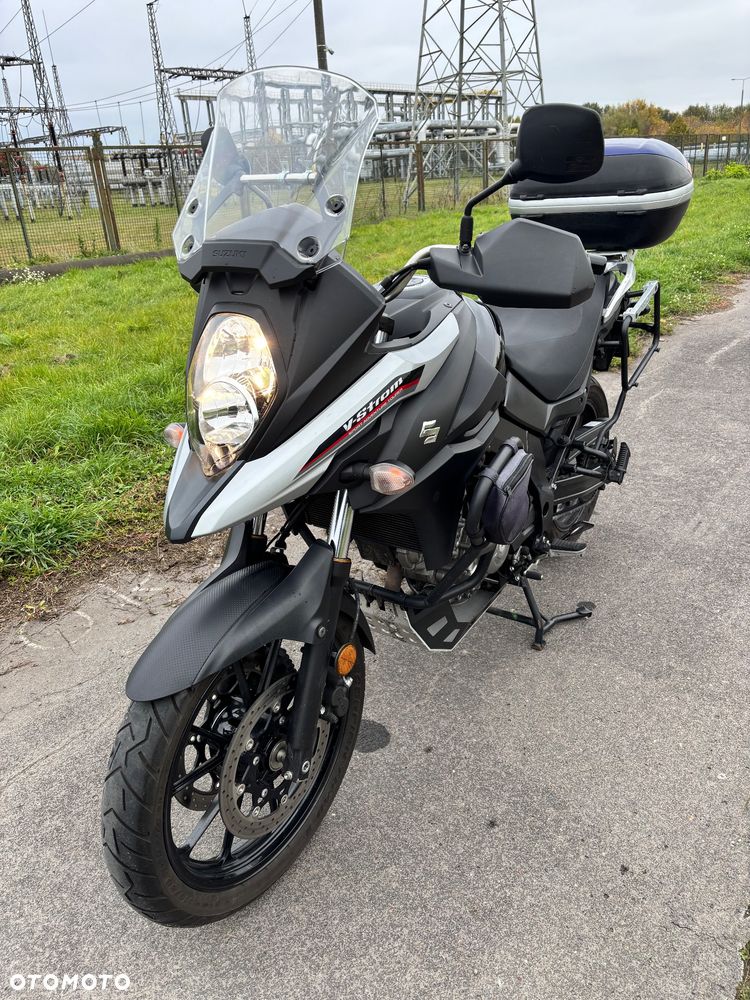 Suzuki DL