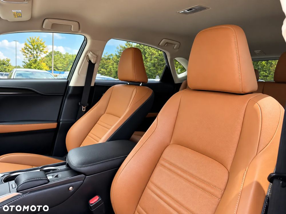 Lexus NX - 12