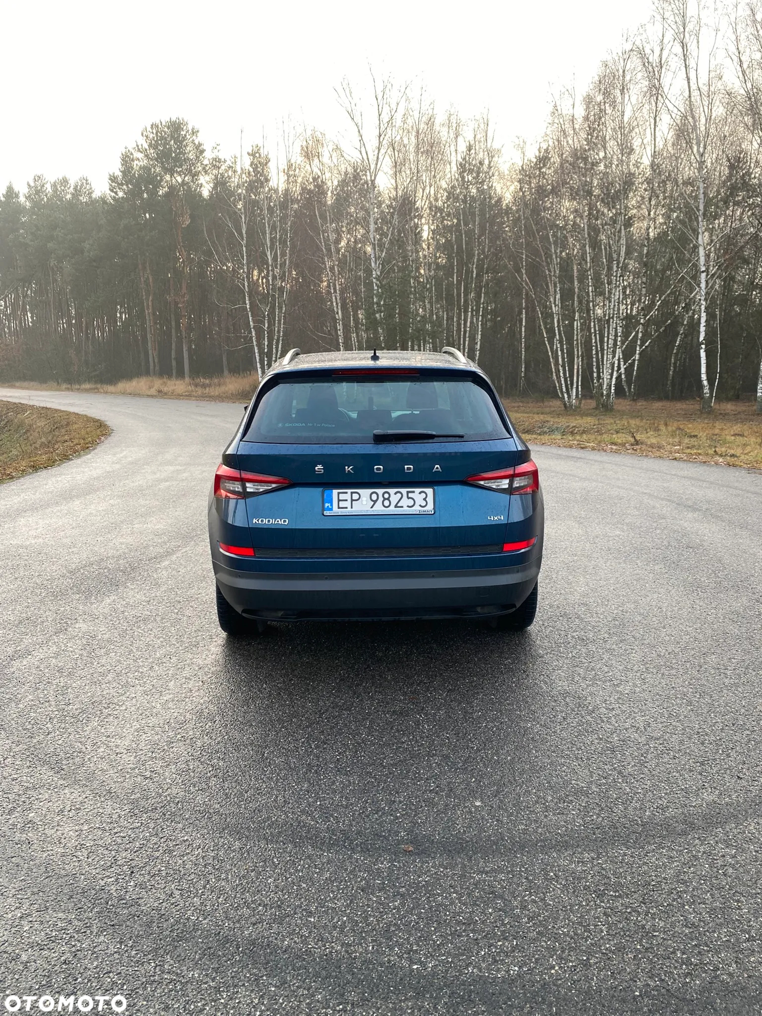 Skoda Kodiaq 2.0 TSI 4x4 Style DSG - 7