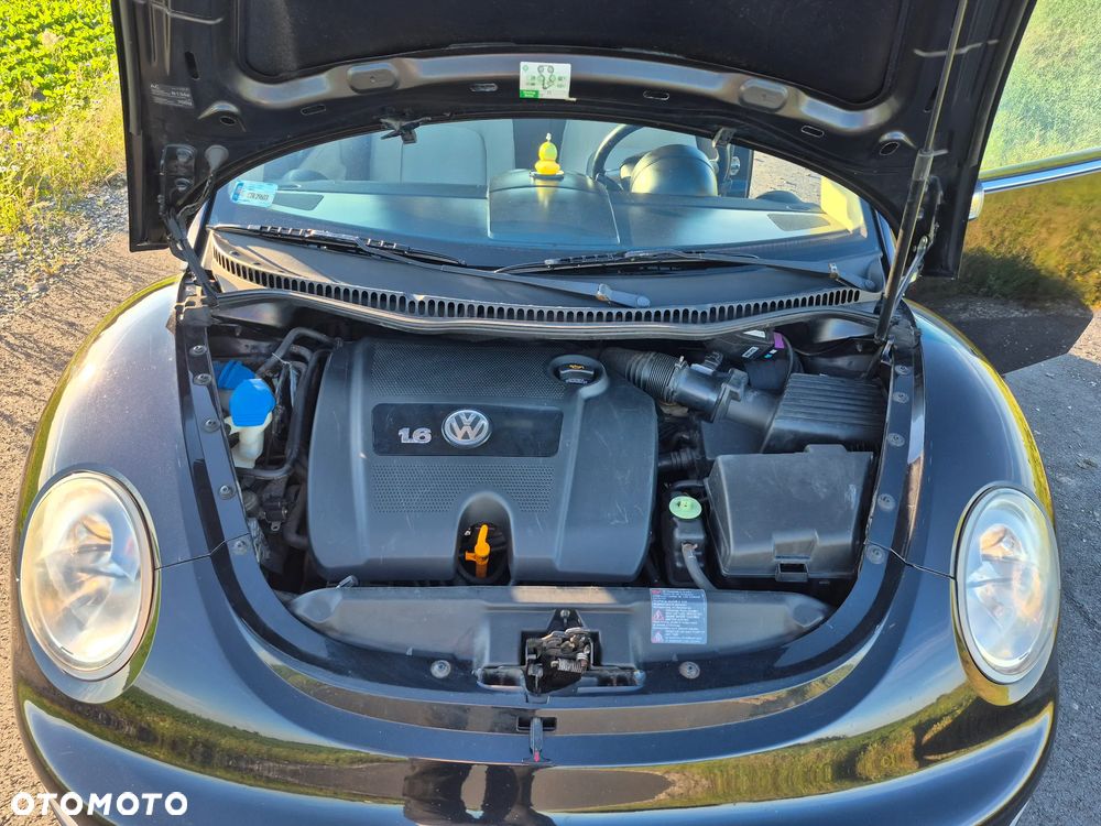 Volkswagen New Beetle - 6