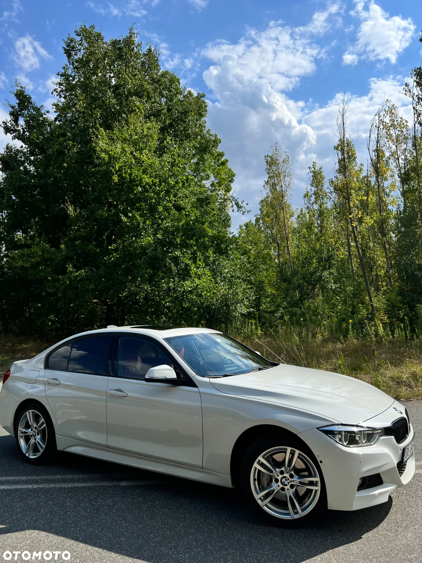 BMW Seria 3 330i xDrive Sport Line Shadow sport - 2
