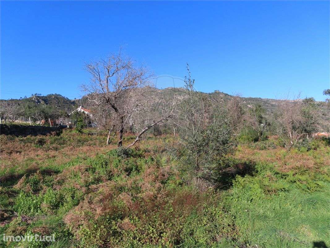 Quinta  para venda - Grande imagem: 2/16