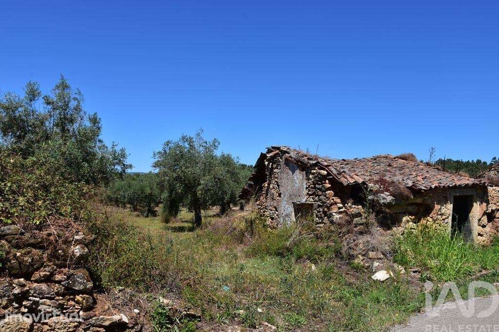 Casa de Campo T1 em Areias e Pias de 65,00 m2 - Grande imagem: 5/16