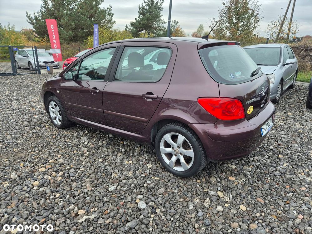 Peugeot 307 1.6 Premium - 6