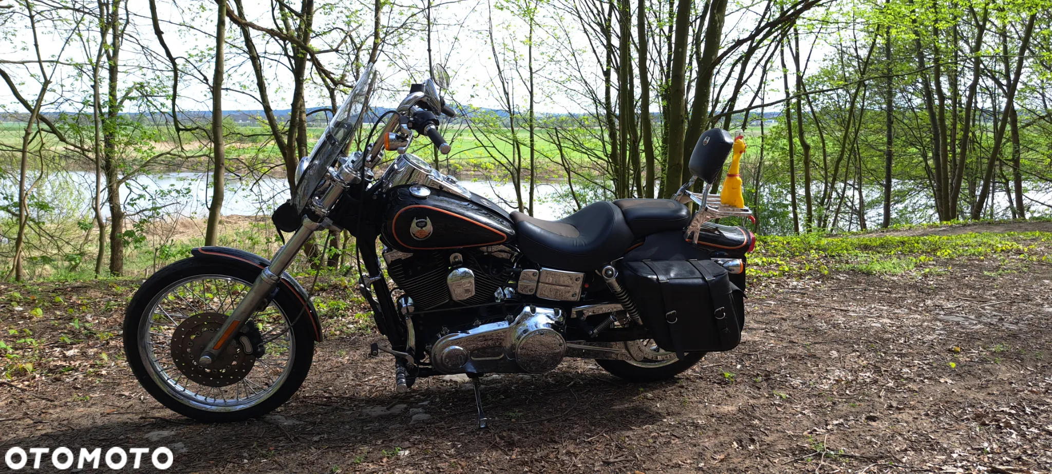 Harley-Davidson Dyna Wide Glide - 3