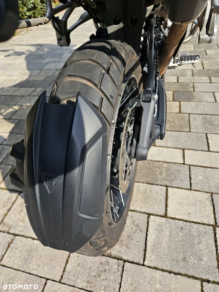 Triumph Tiger - 16