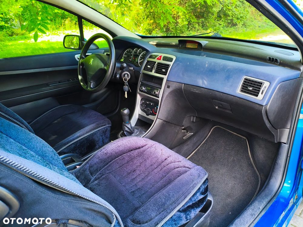 Peugeot 307 1.6 XS - 8