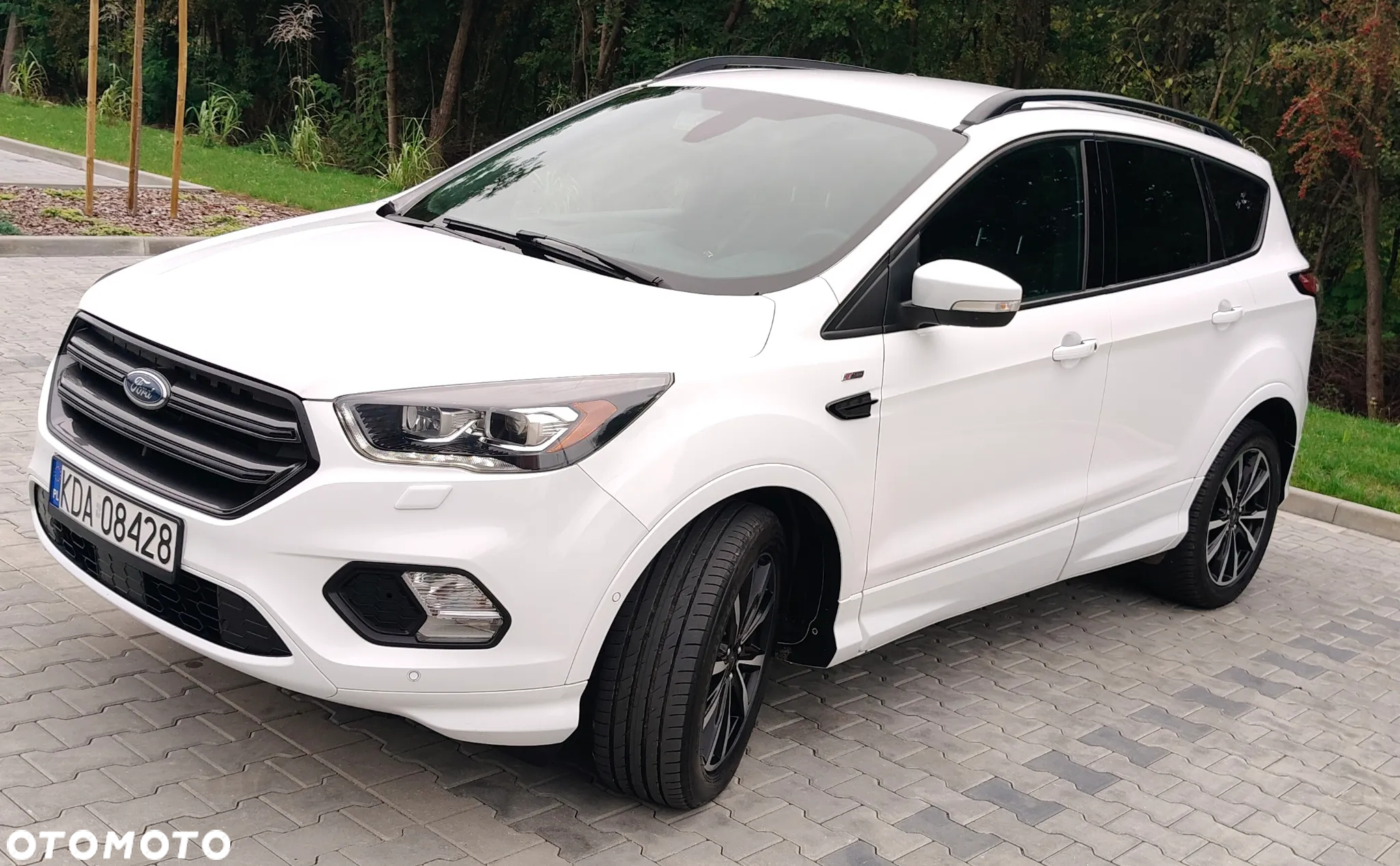 Ford Kuga 2.0 TDCi 2x4 ST-Line - 2