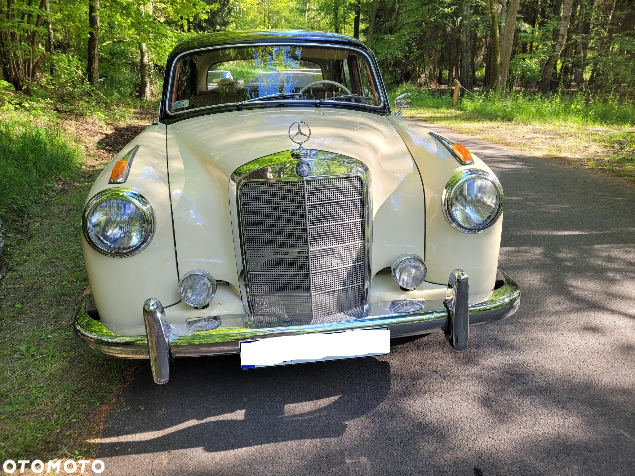 Mercedes-Benz Inny - 2