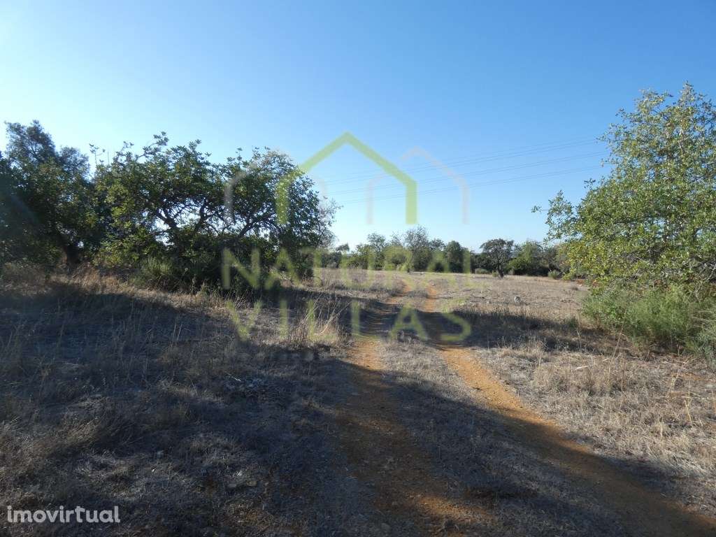 Terreno com Ruína em Mata Lobos, Faro - Grande imagem: 4/9