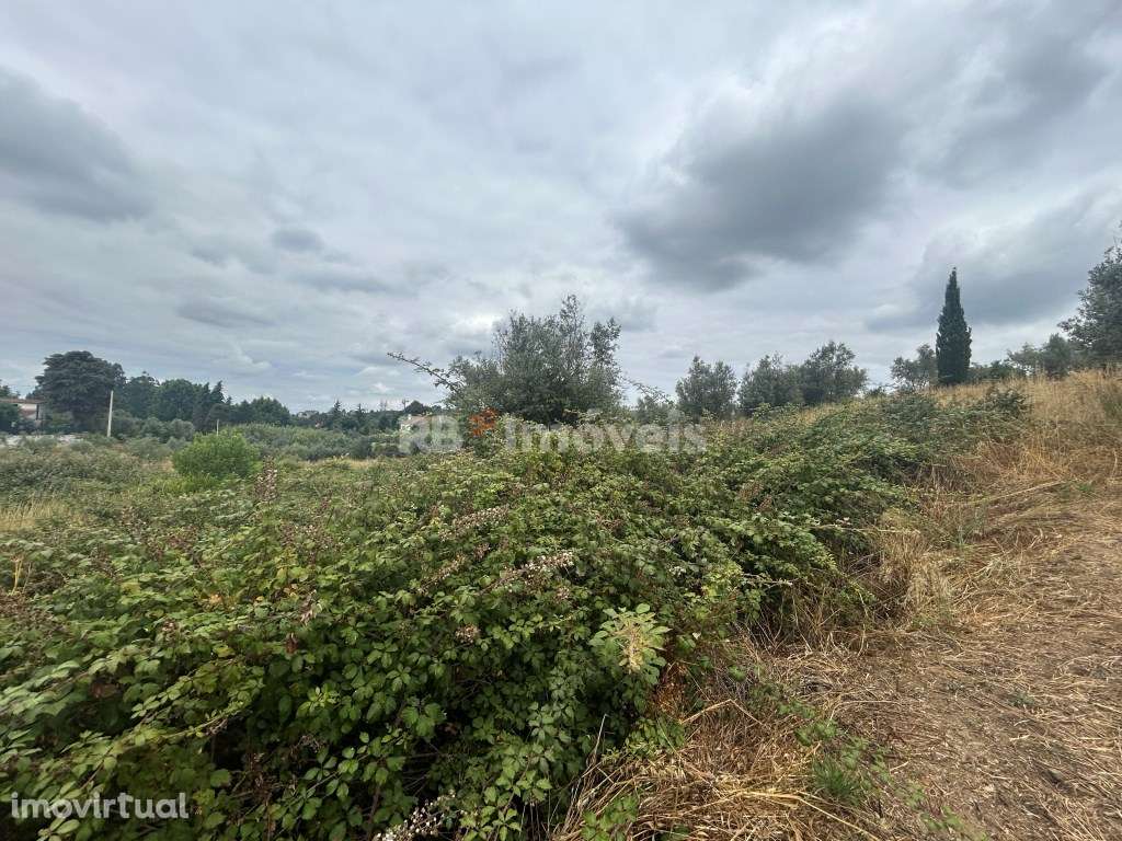 Terreno Agrícola em Chão das Maias - Tomar - Grande imagem: 2/16