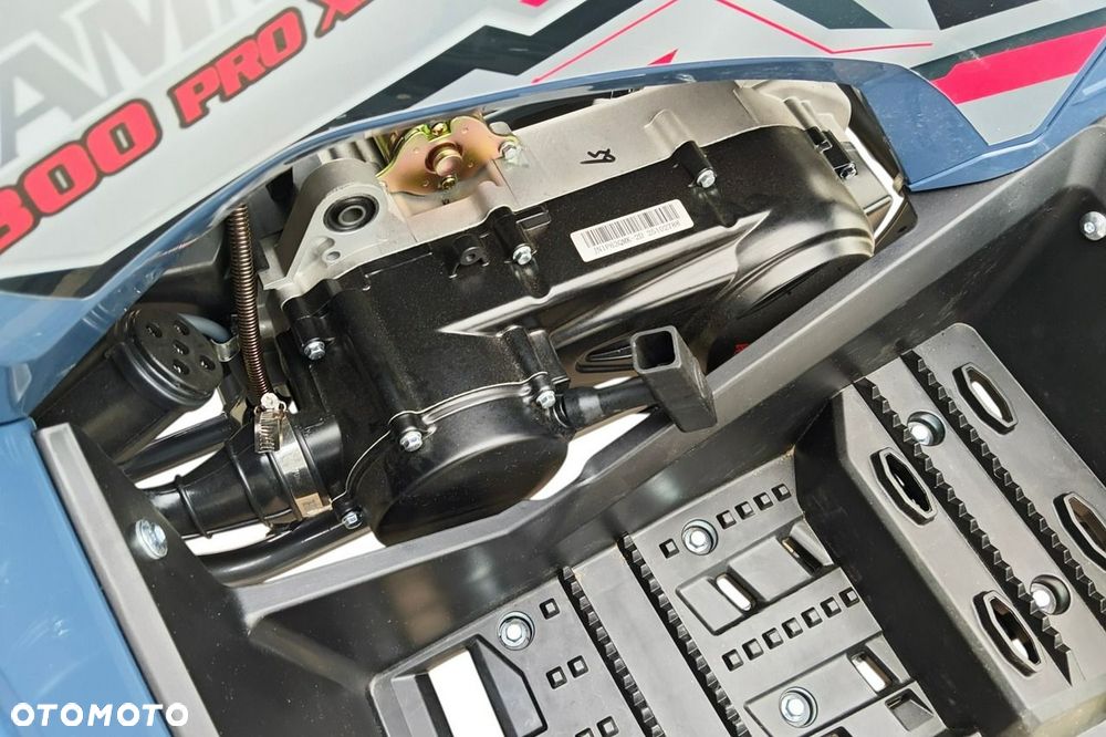 Diabolini Inny - 18