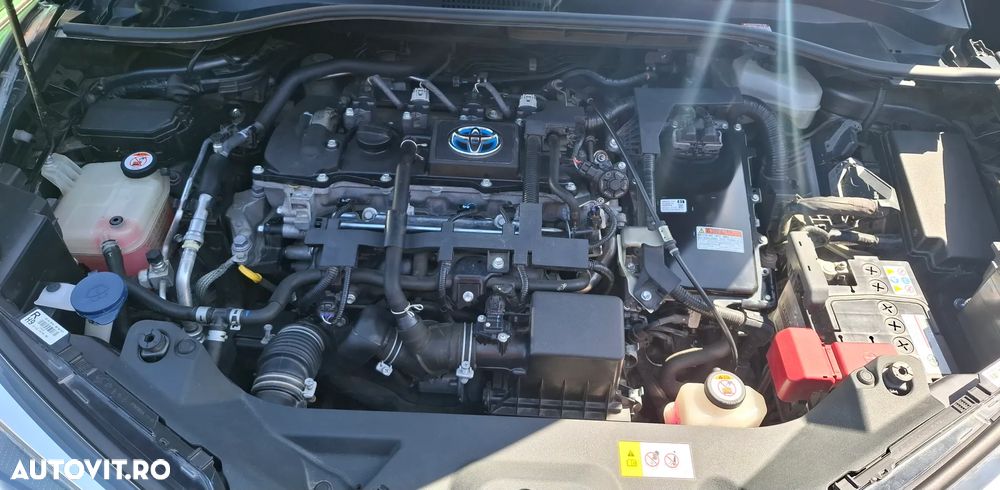 Toyota C-HR Club - 14