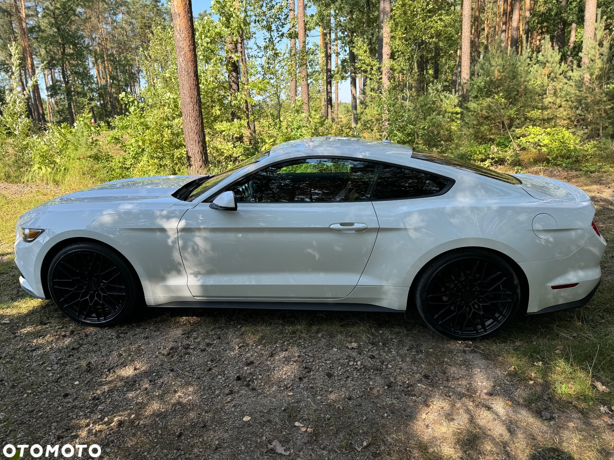 Ford Mustang - 6