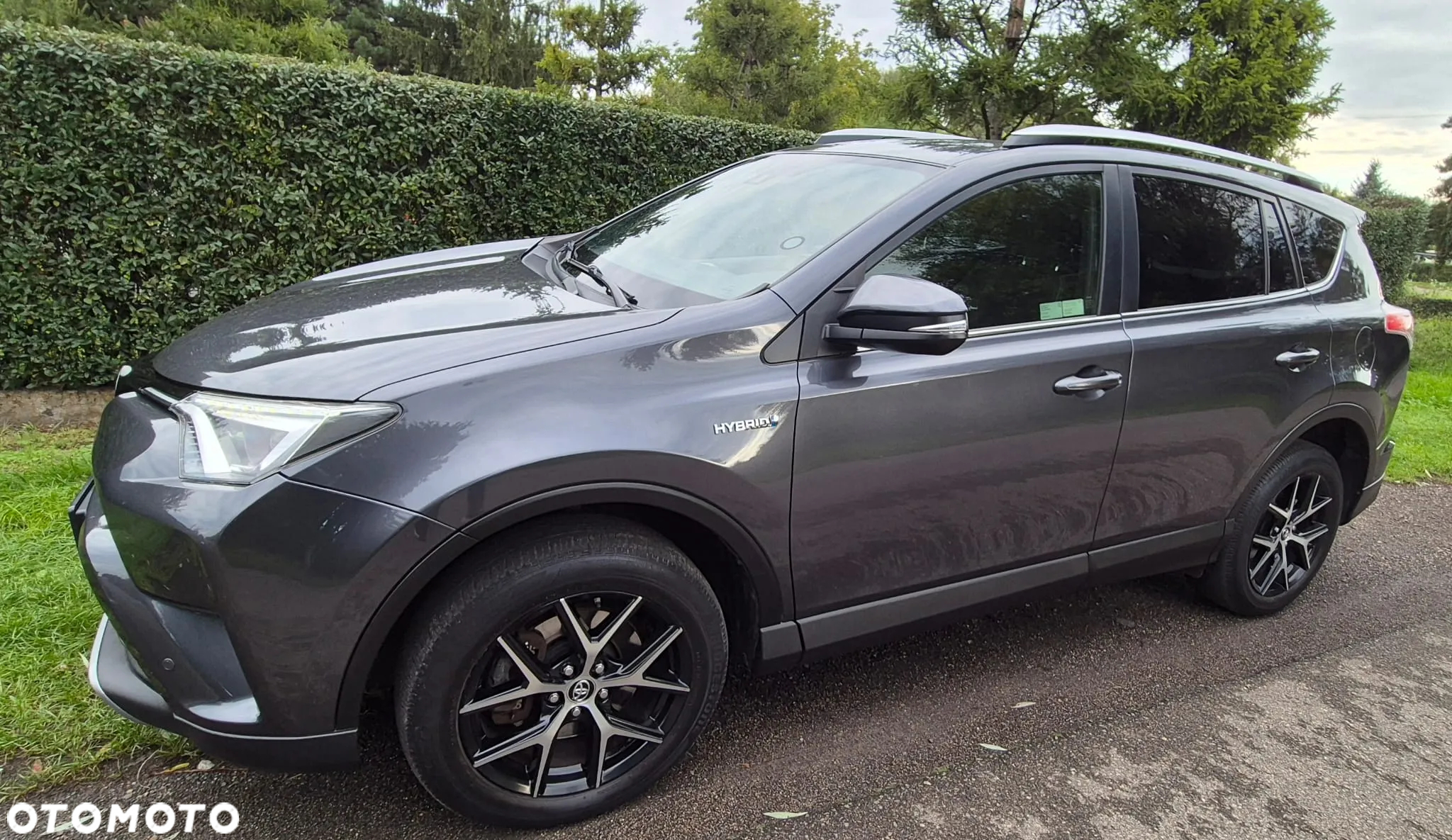 Toyota RAV4 Hybrid Platinum 4x2 - 12