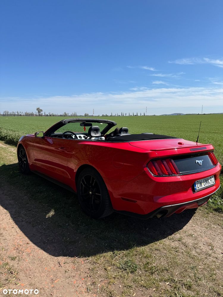 Ford Mustang Cabrio 2.3 Eco Boost - 16