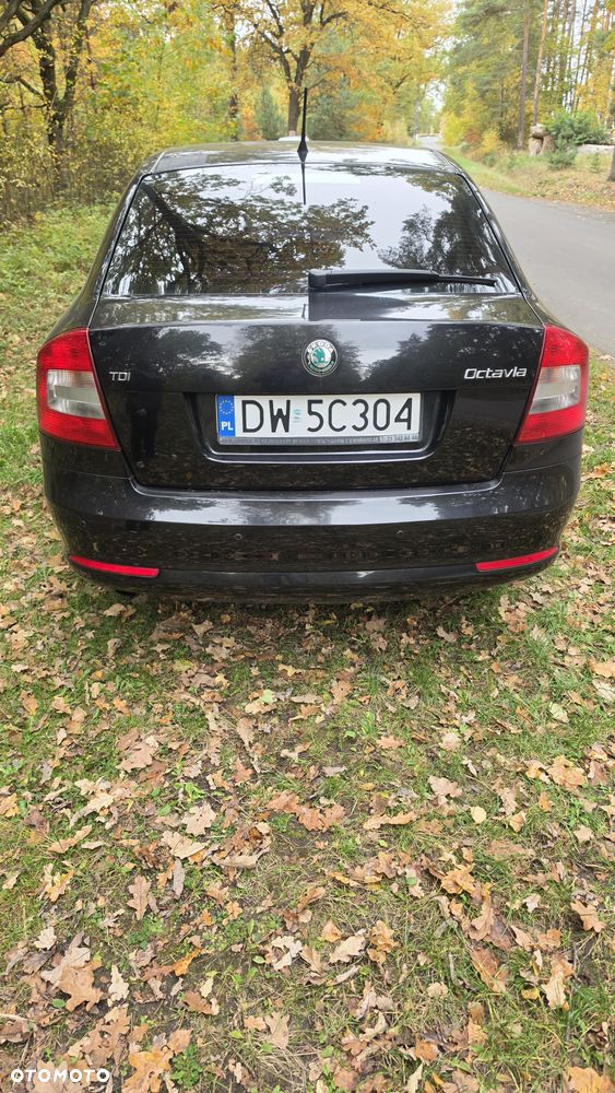 Skoda Octavia - 16