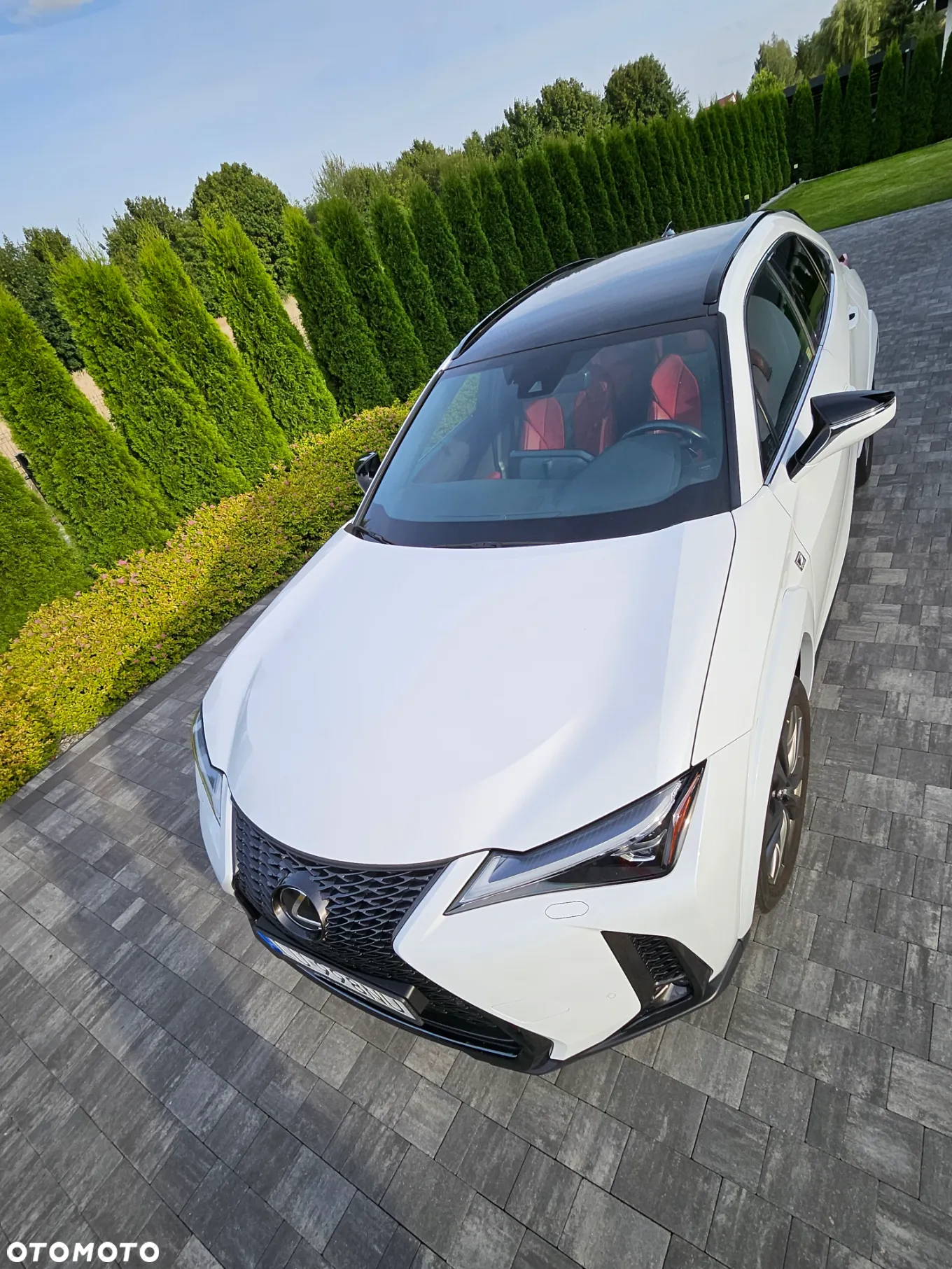 Lexus UX 250h GPF F Sport 2WD - 3