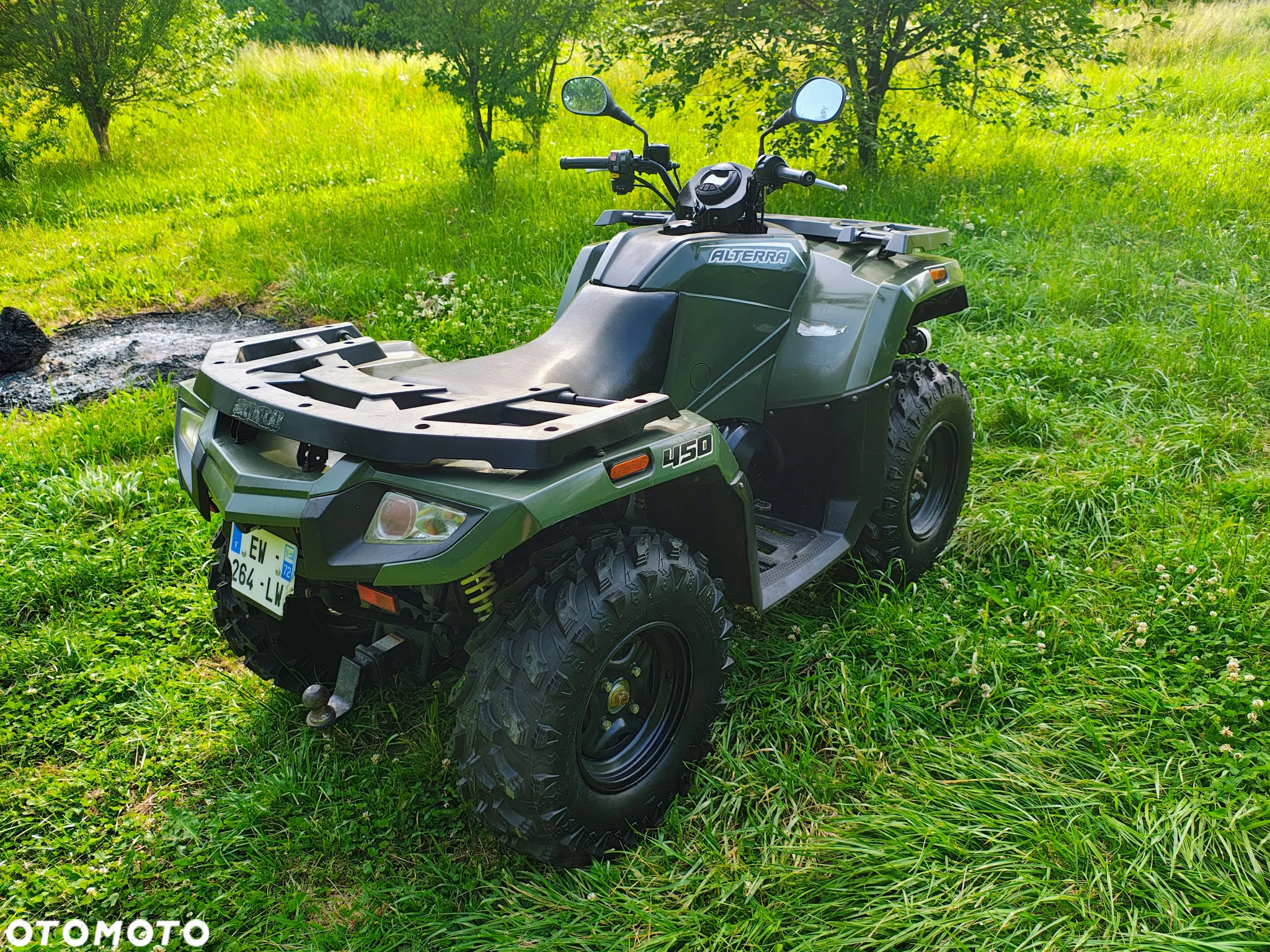 Arctic Cat Inny