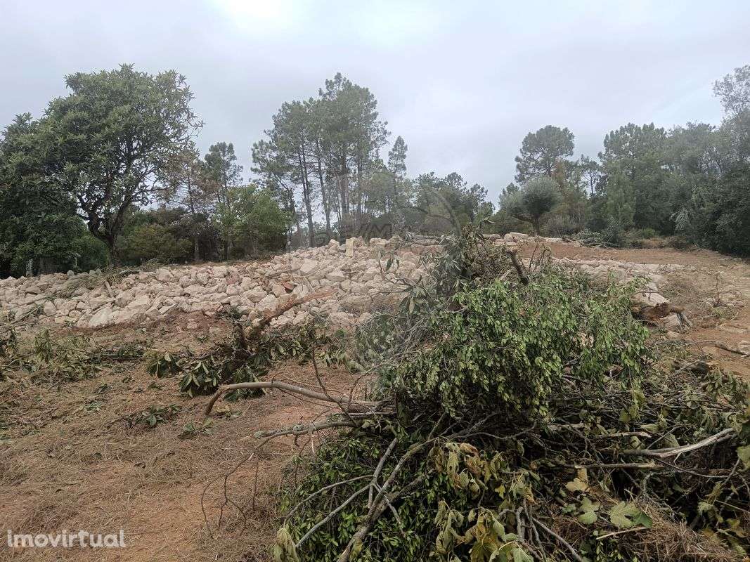 Terreno  para venda - Grande imagem: 4/12